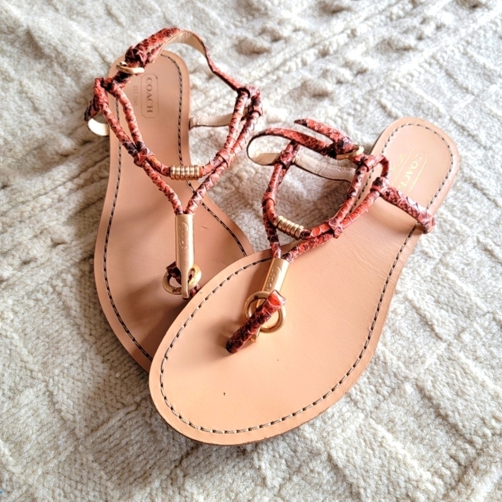 Coach Coral Snakeskin Strappy Sandals Gold Hardware size 6